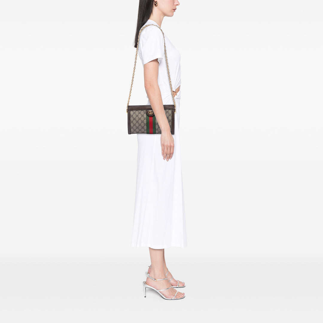 Web Ophidia Chaîne Sac Petit GG Supreme Beige