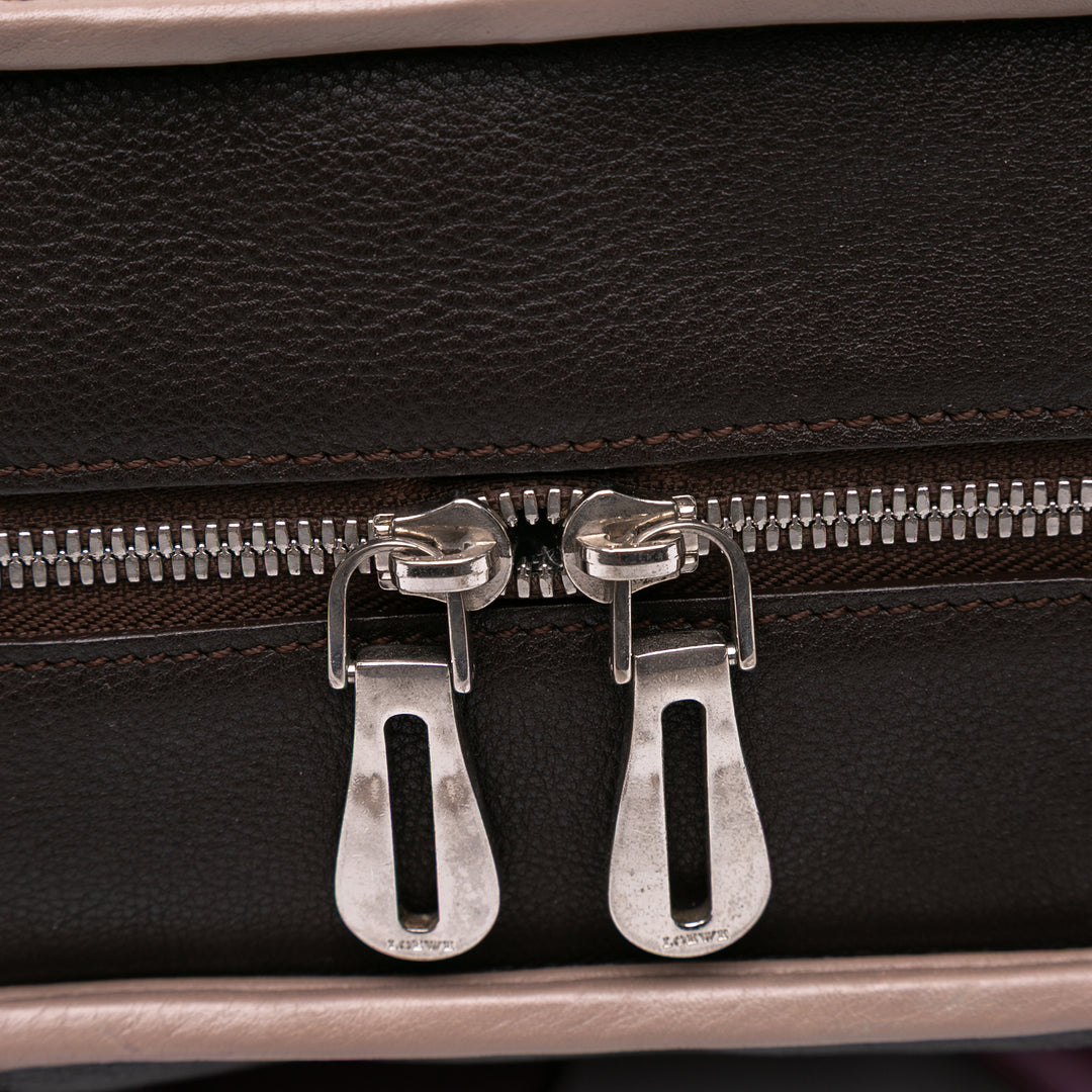 LOEWE Tricolor Goatskin Amazona 36