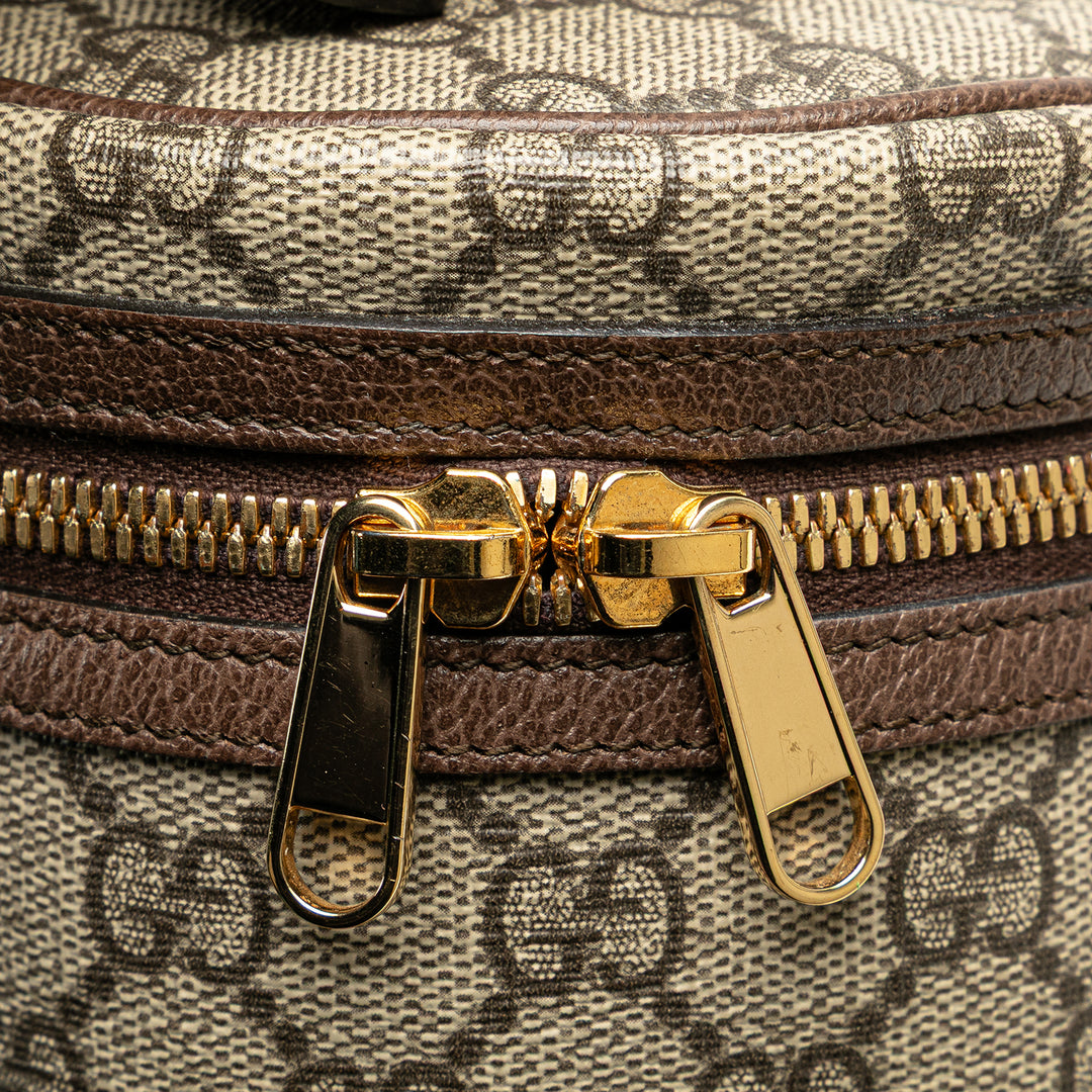 GG Supreme Web Ophidia Vanity Bag Brown - Gaby Paris