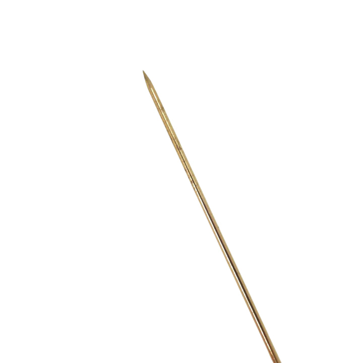 Dior plaqué Leaf Broche