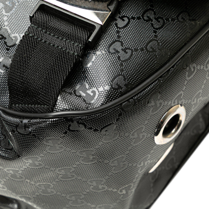 GG Imprime Web Crossbody Black - Gaby Paris