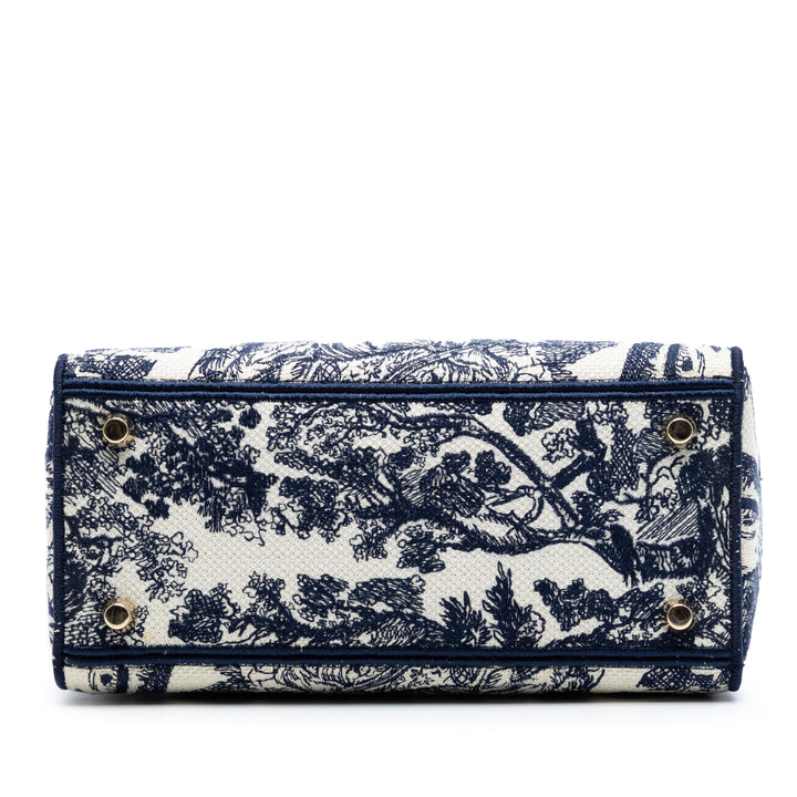 Dior Medium brodé Toile Toile de Jouy Lady D Lite
