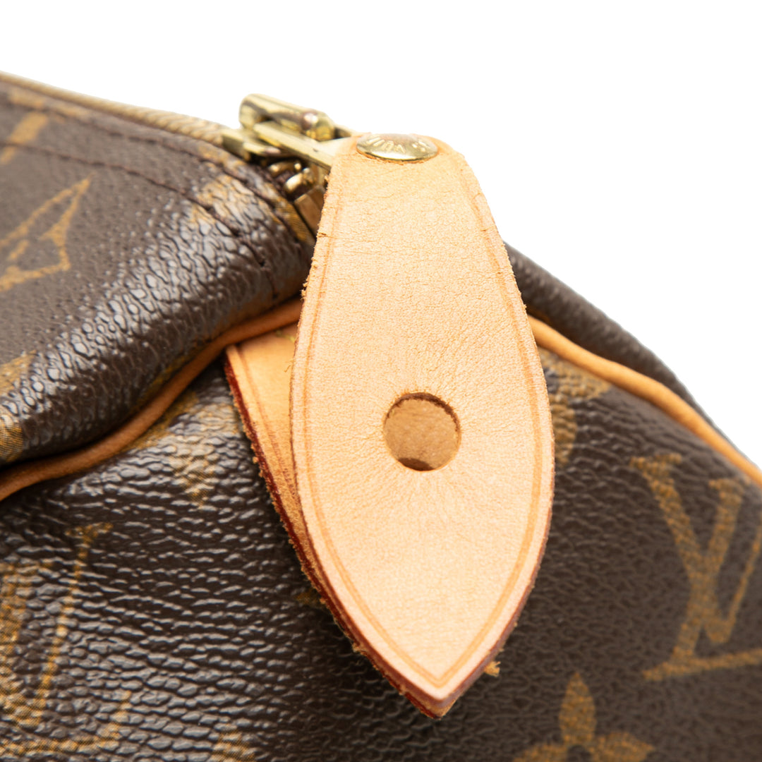 Louis Vuitton Speedy 30 Toile Monogram