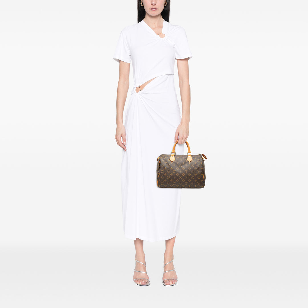 Louis Vuitton Speedy 30 Toile Monogram