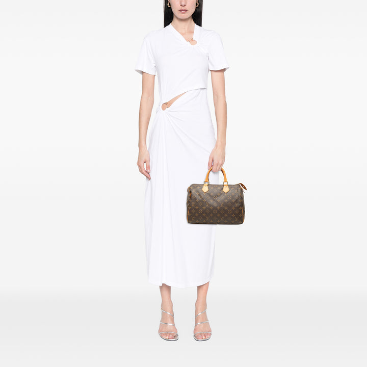 Louis Vuitton Speedy 30 Toile Monogram