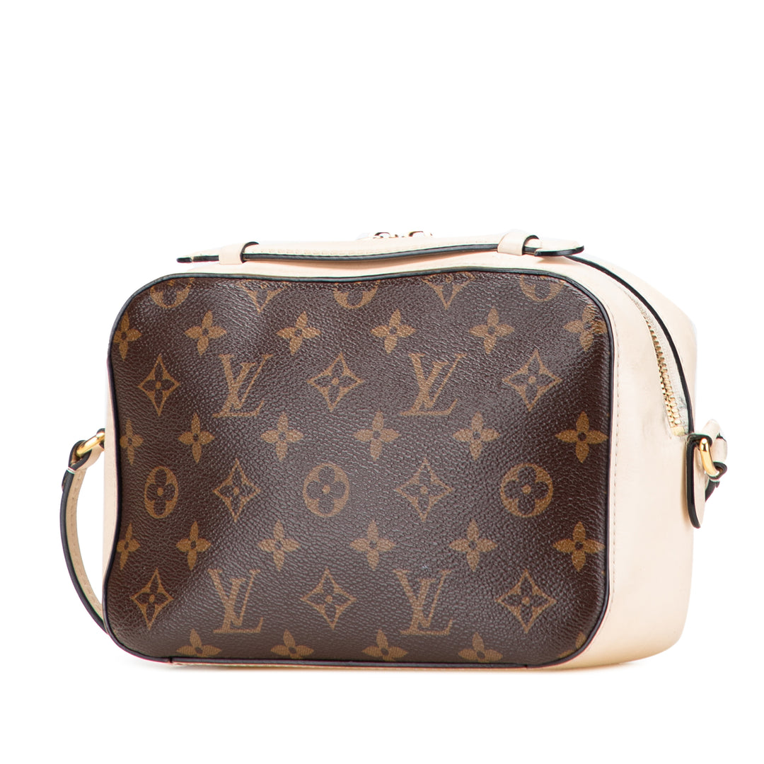 Louis Vuitton Saintonge Monogram Marron