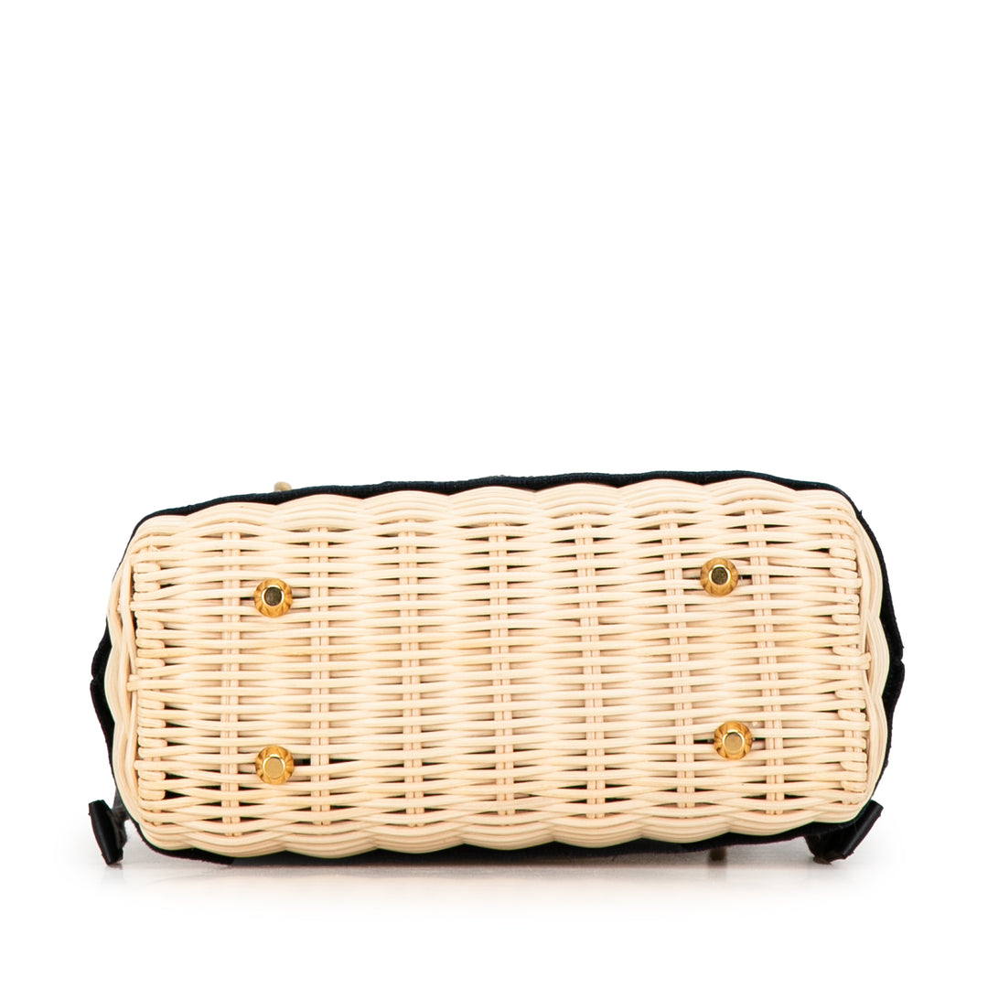 Mini Oblique Wicker Lady Dior Brown - Gaby Paris