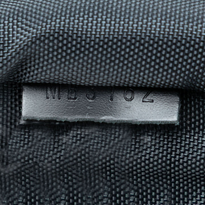 Louis Vuitton Epi Pegase 50