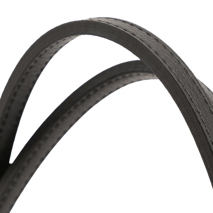 Goyard Goyardine Artois PM