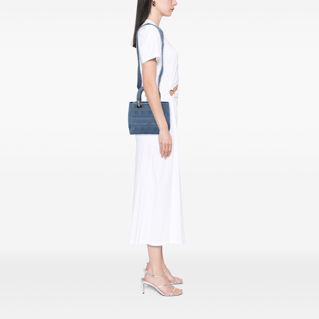Dior Medium Toile Cannage Lady D Lite