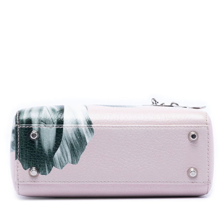 Dior Mini Deerskin Printed Lady Dior