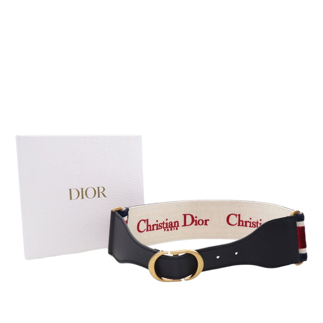 Dior Cuir et brodé Toile Wide Belt