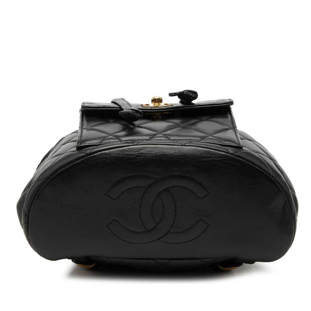 Chanel Medium Matelassé Cuir d’agneau Duma Sac à dos