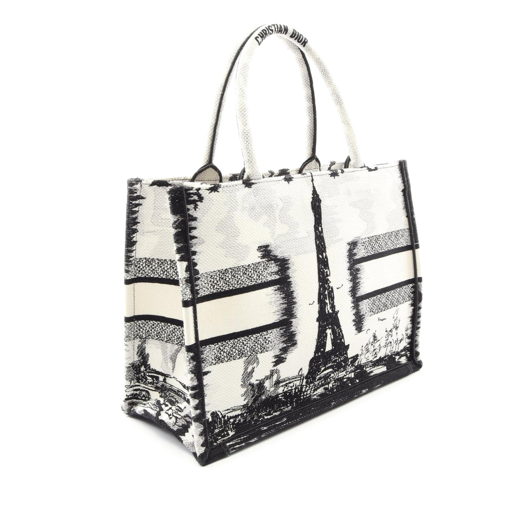 Dior Medium brodé Toile Eiffel Tower Book Cabas