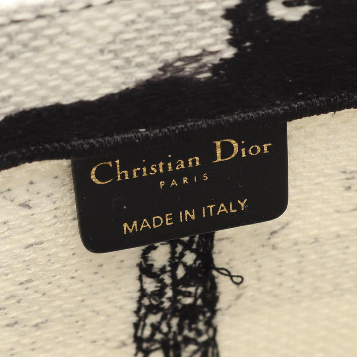 Dior Medium brodé Toile Eiffel Tower Book Cabas