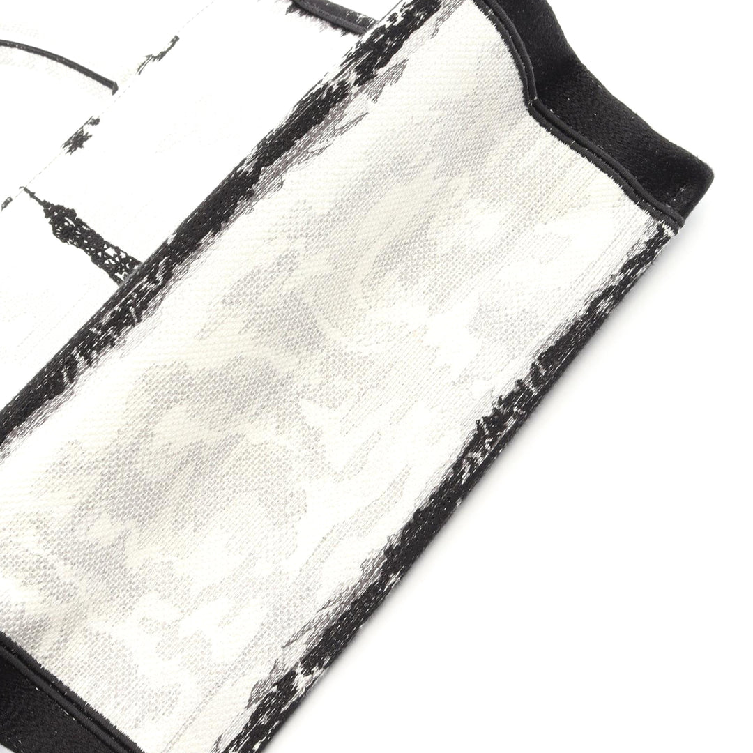 Dior Medium brodé Toile Eiffel Tower Book Cabas